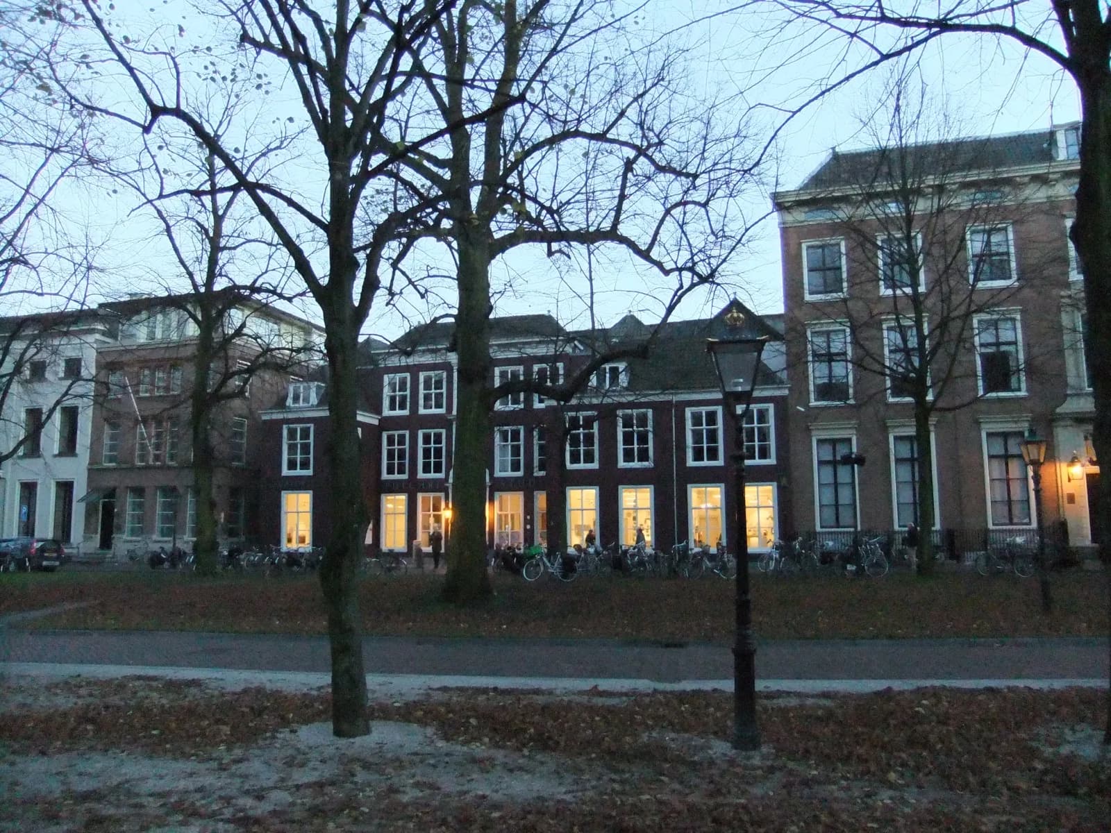 The historic facade of Pulchri Studio on the Lange Voorhout in The Hague at dusk, a dark brick building with illuminated windows among neighboring historic townhouses, bare trees and bicycles in the foreground, South Holland, Netherlands.