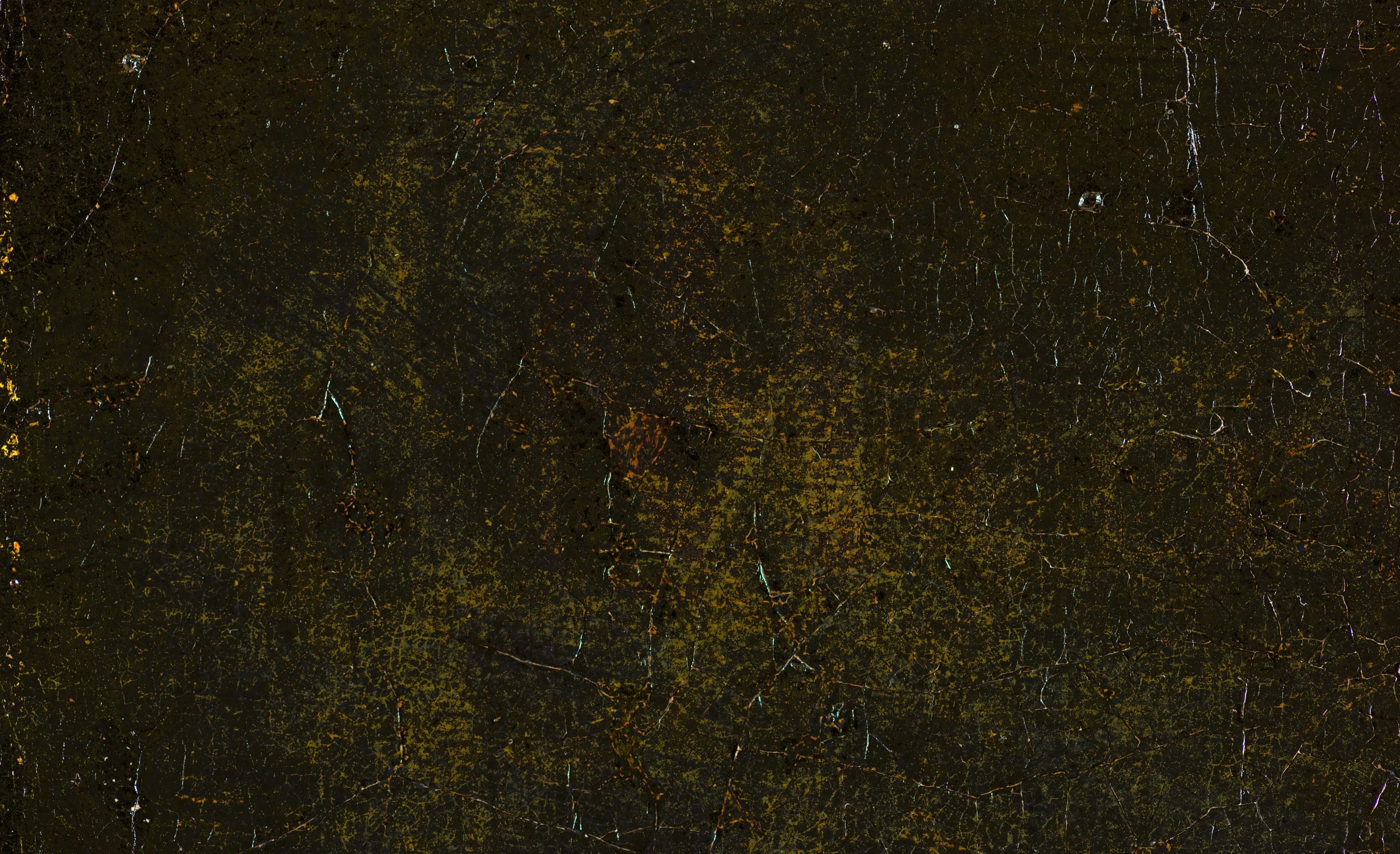 Detail of Vermeer's signature on Girl with a Pearl Earring