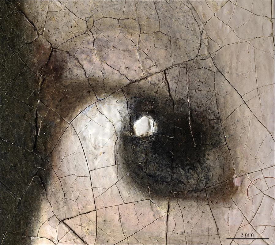 The Girl's eye under a 3D digital microscope, the cracked paint surface enlarged so the catchlight and the soft edges of the lid fill the frame