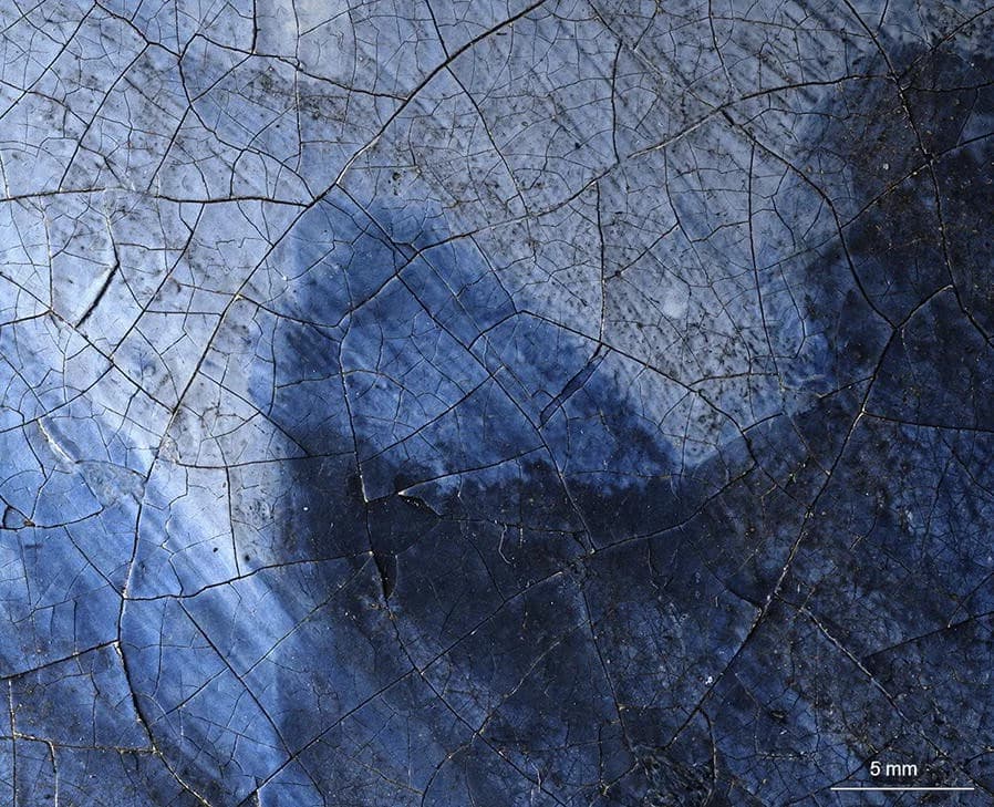 The blue headscarf under the microscope, deep and pale blues of natural ultramarine layered over one another across the cracked surface